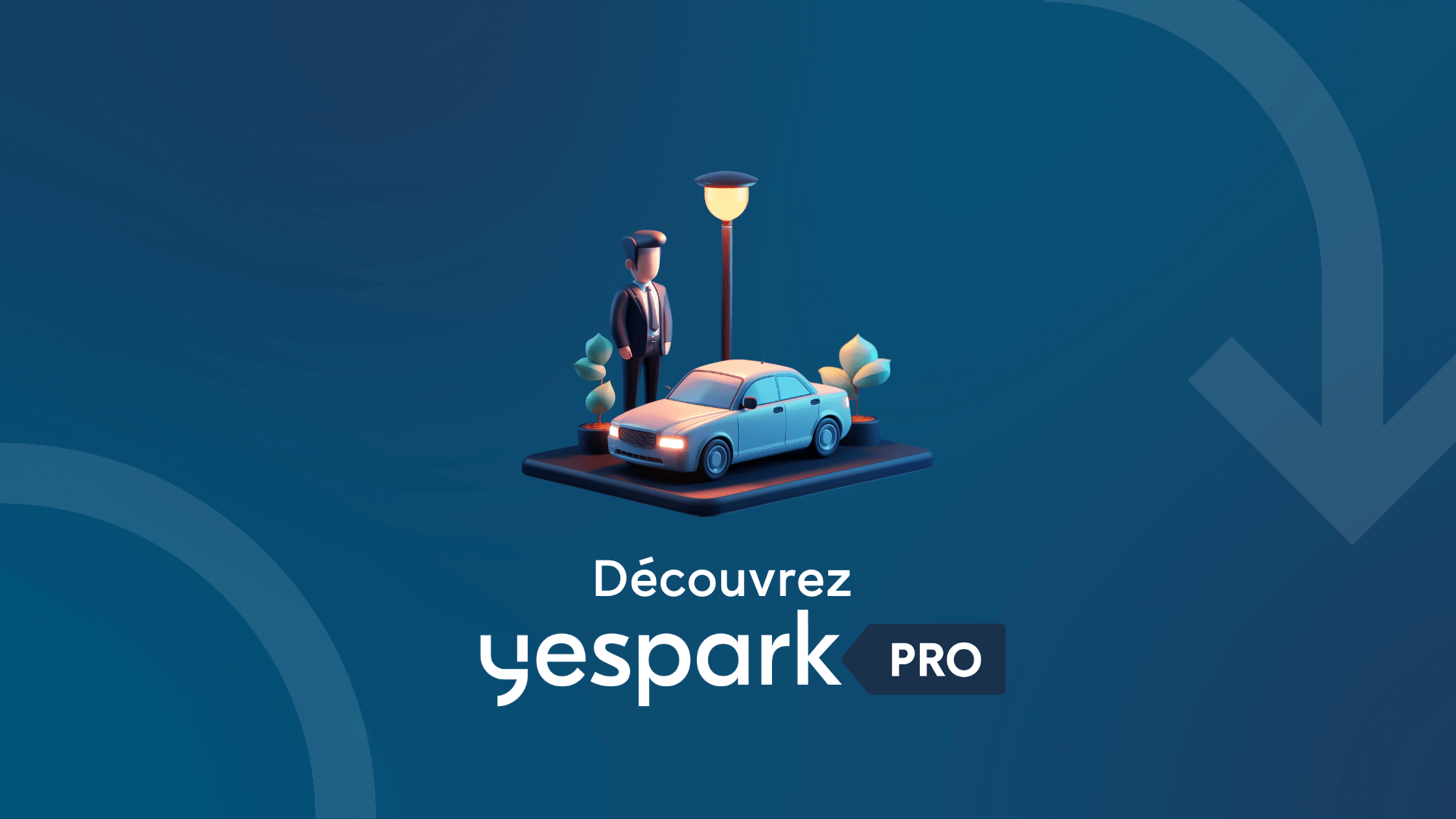 Yespark Pro